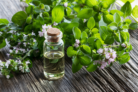 A bottle of oregano essential oil with blooming oregano twigs on a wooden backgroundの写真素材