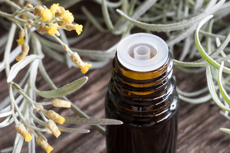 Closeup of a bottle of helichrysum essential oil with blooming helichrysum italicum in the backgroundの写真素材