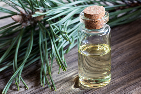 A bottle of pine essential oil with pine branches in the backgroundの写真素材