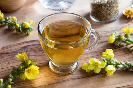 A cup of mullein tea with fresh mullein flowers in the backgroundの写真素材