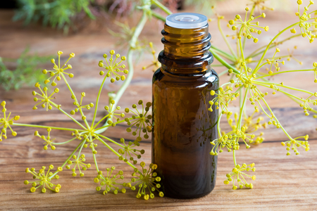 A dark bottle of dill seed oil with fresh dill on a wooden backgroundの写真素材