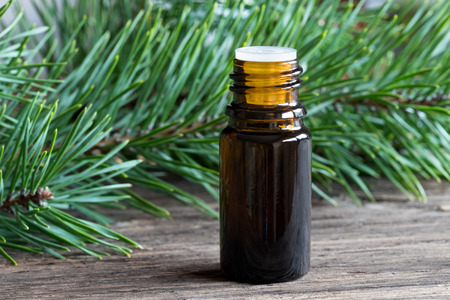 A dark bottle of pine essential oil with pine branches in the backgroundの写真素材