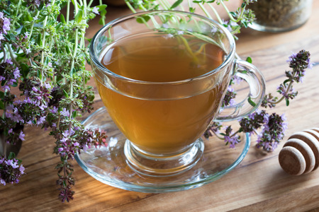 A cup of creeping thyme (thymus serpyllum) tea, with blooming creeping thyme twigs on a wooden backgroundの写真素材