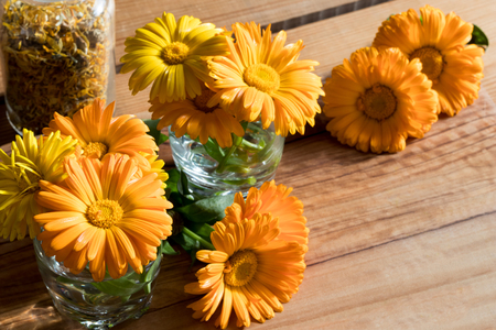 Fresh calendula flowers on a wooden background with copy spaceの写真素材