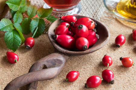 Fresh rose hips on a spoon on the tableの写真素材
