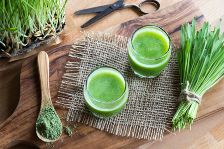 Two glasses of green juice with freshly harvested barley grass in the backgroundの写真素材