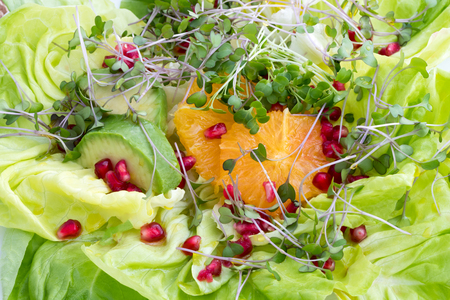 Fresh kale and broccoli microgreens in a vegetable salad with lettuce, avocado, orange and pomegranateの写真素材