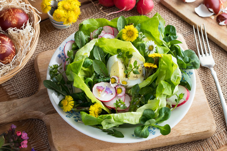 Spring salad with dandelion leaves, chickweed, daisies and other wild edible plantsの写真素材