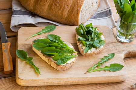 Two slices of sourdough bread with butter and fresh dandelion leavesの写真素材