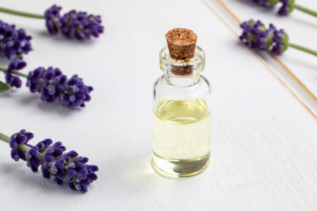 A bottle of essential oil with fresh blooming lavender twigs on a white wooden background