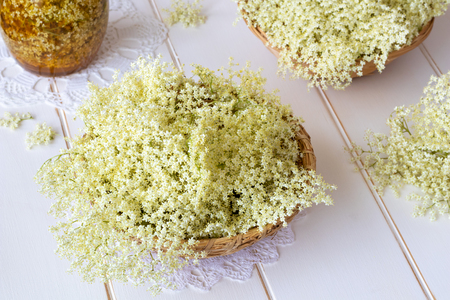 Fresh elder flowers in two baskets on a white backgroundの写真素材