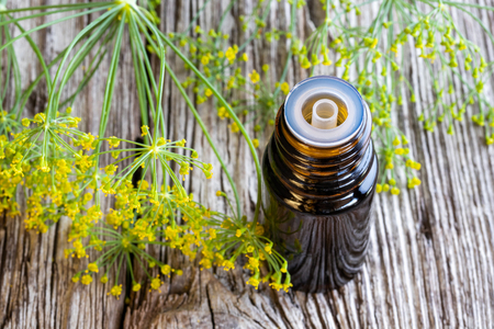 Dill seed oil with fresh blooming plantの写真素材
