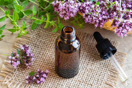 A bottle of essential oil with fresh blooming oregano twigsの写真素材