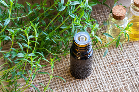 A bottle of mountain savory essential oil with fresh Satureja montana plantの写真素材