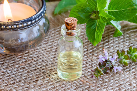 A transparent bottle of essential oil with fresh tulsi, or holy basilの写真素材