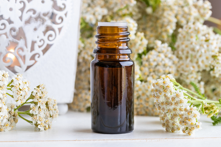 A bottle of essential oil with fresh blooming yarrow plantの写真素材