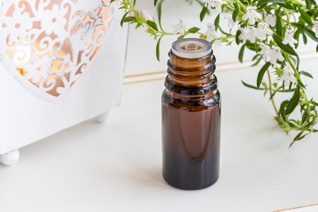 A bottle of mountain savory essential oil with fresh blooming Satureja montanaの写真素材