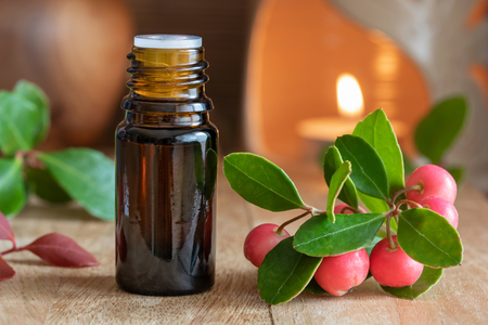 A bottle of essential oil with wintergreen leaves and berriesの写真素材