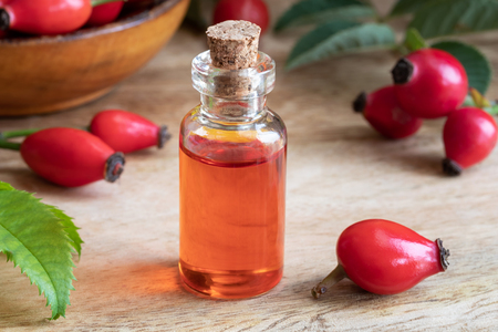 A bottle of rosehip seed oil with fresh plantの写真素材