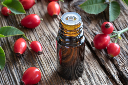 A bottle of rose hip seed oil with ripe berriesの写真素材