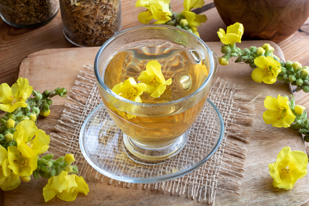 A cup of herbal tea with fresh mullein flowersの写真素材