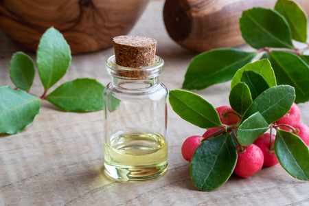 A bottle of essential oil with wintergreen leaves and berries on a wooden tableの写真素材