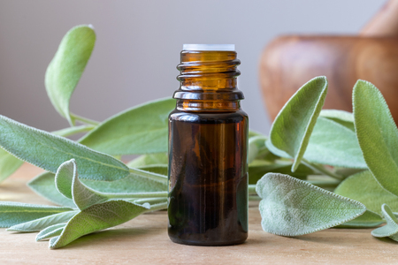 A bottle of essential oil with fresh sage twigsの写真素材