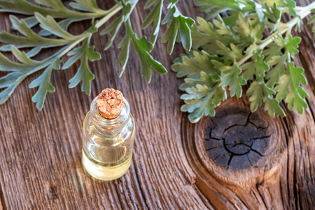 A bottle of wormwood essential oil with fresh Artemisia Absinthium plantの写真素材