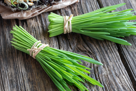 Freshly harvested barley grass on a rustic backgroundの写真素材