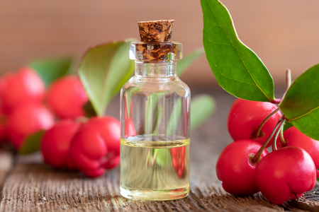 A bottle of essential oil with fresh wintergreen twigsの写真素材