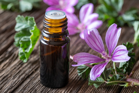 A bottle of mallow essential oil with fresh malva sylvestris plantの写真素材