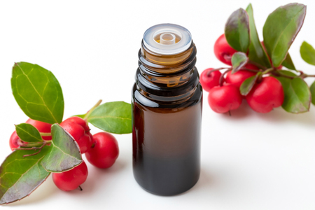 A bottle of essential oil with wintergreen leaves and berries on a white backgroundの写真素材