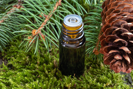 A bottle of essential oil on moss with fresh spruce branches and conesの写真素材
