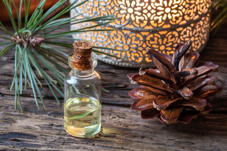 A bottle of pine essential oilの写真素材