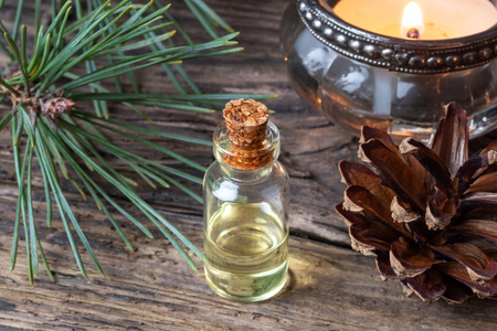 A bottle of essential oil with fresh pine branchesの写真素材