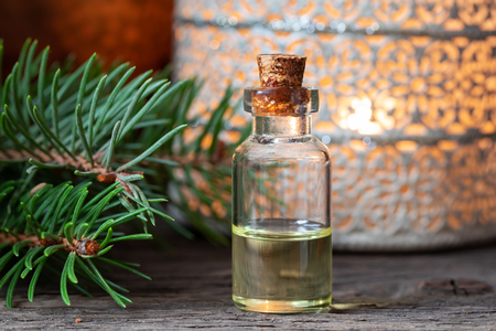 A bottle of essential oil with fresh spruce branchesの写真素材