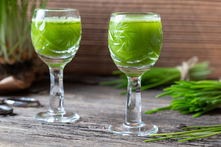 Two glasses of barley grass juice with freshly grown bladesの写真素材