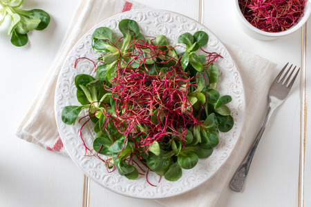 Salad with lamb's lettuce and fresh red beet sprouts, top viewの写真素材