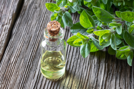 A bottle of essential oil with fresh oregano twigsの写真素材