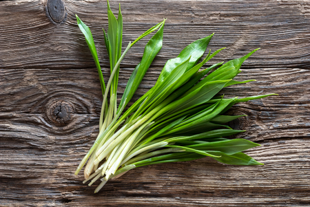 Fresh young wild garlic leaves on a rustic background