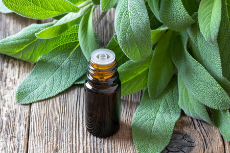 A bottle of essential oil with fresh sageの写真素材