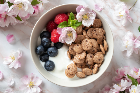 Breakfast cereals with yogurt, blueberries, raspberries and spring blossomsの写真素材
