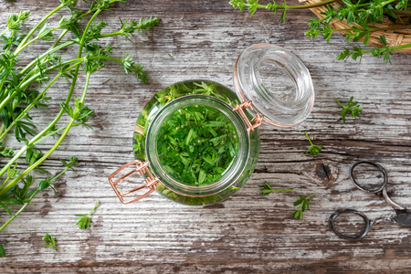 Preparation of herbal tincture from fresh bedstraw, top viewの写真素材