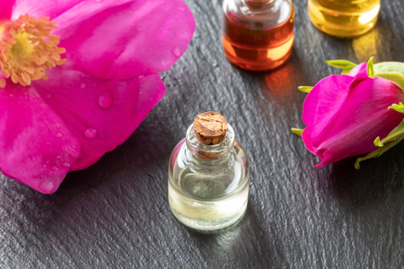 A bottle of essential oil with fresh Rugosa rosesの写真素材