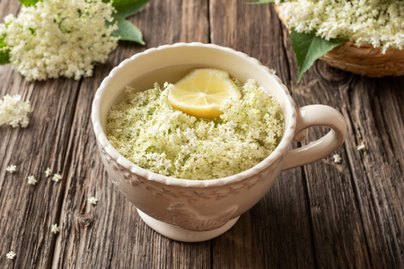 Macerating fresh elder flowers and lemon in water, to prepare homemade herbal syrupの写真素材