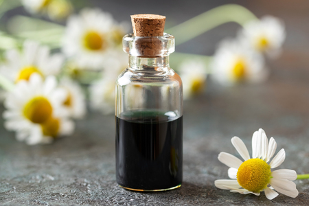 A bottle of dark blue German chamomile essential oil and fresh flowersの写真素材