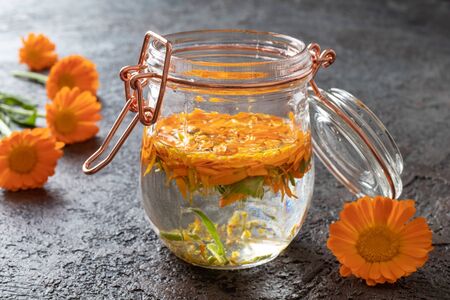 Preparation of herbal tincture from fresh calendula flowersの写真素材