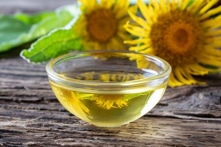 A bowl of essential oil with fresh elecampane, or Inula helenium plant in the backgroundの写真素材