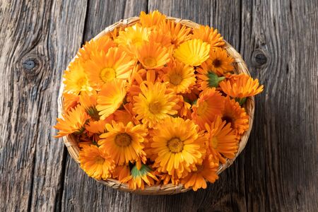 Fresh calendula flowers in a wicker basket on a tableの写真素材