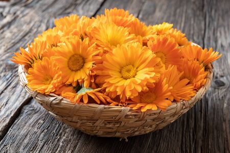 Fresh calendula flowers in a basketの写真素材